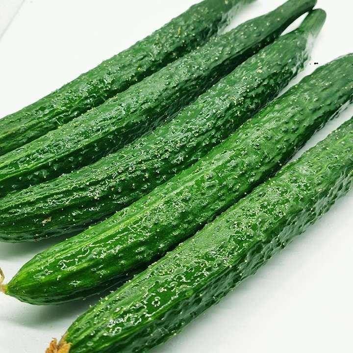 夏天喜欢吃青瓜吗?