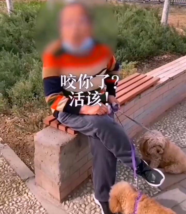 狗是畜生,你也是畜生,咬你了?活该! - 知乎