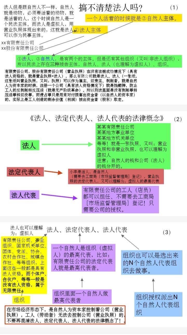 明亮的公司法人要承担什么责任的视图