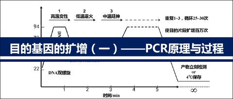 PCR关于退火温度和延伸温度的疑惑 - 知乎