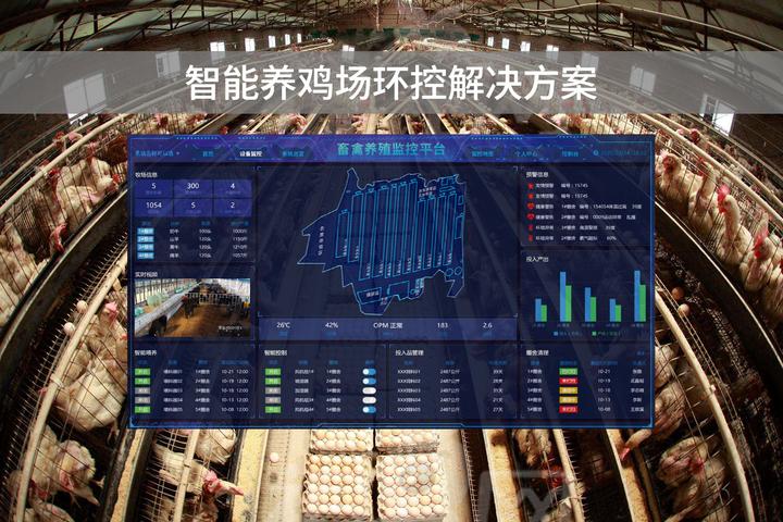 智能养鸡场环控解决方案