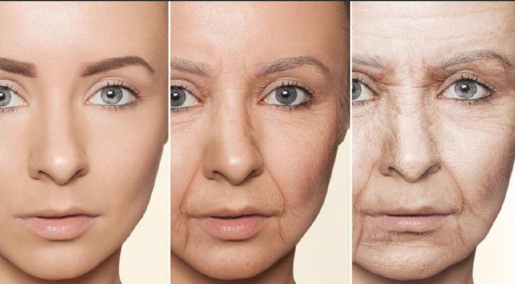 面部的肌肤衰老以后怎样能抗衰呢