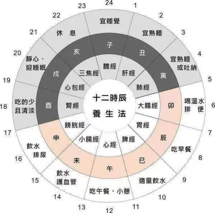 黄帝内经：十二时辰养生法（建议收藏） - 知乎