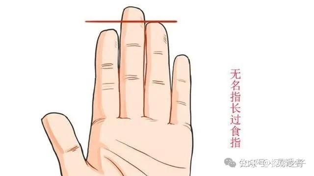 无名指比食指的长度对比,可以反映一个人很多信息 - 知乎