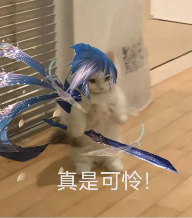 你都有哪些英雄联盟魔法猫咪的表情包