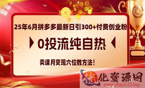 拼多多日引300+创业粉_wwz