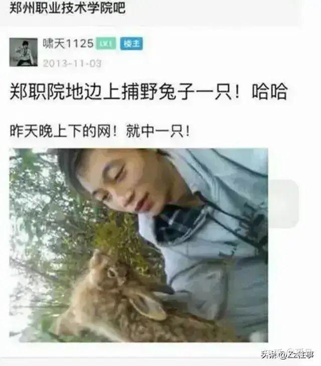 燕隼案图片