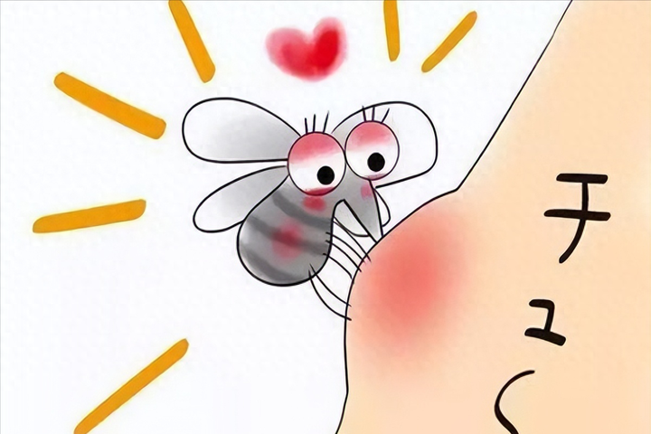 夜晚无法乘凉的秘密花蚊子入侵中国五十年的背后真相