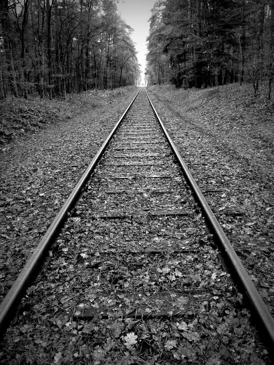 什么什么无砟轨道