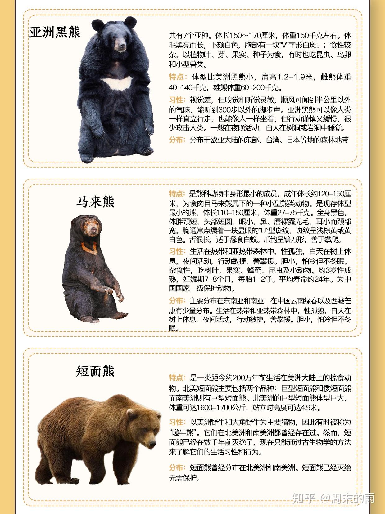 10大熊类图鉴大赏,大熊猫为什么不用冬眠? - 知乎