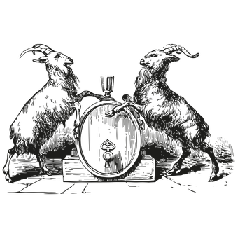 5. 个性空间装饰