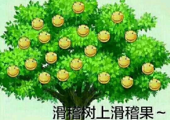 一枚滑稽币能解决什么?