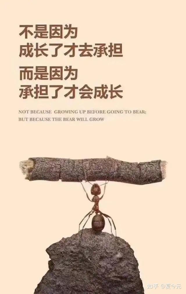 承擔 - 知乎