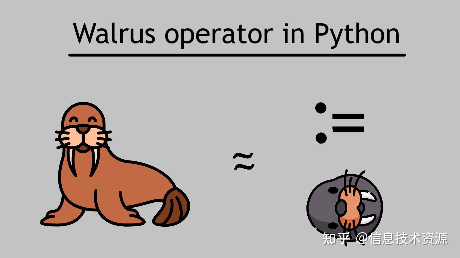 Python中的海象运算符“:=”使用方法详解 - 知乎