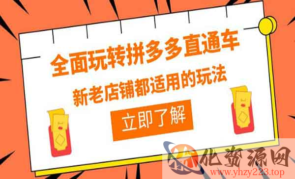 《全面玩转拼多多直通车》新老店铺都适用的玩法_wwz