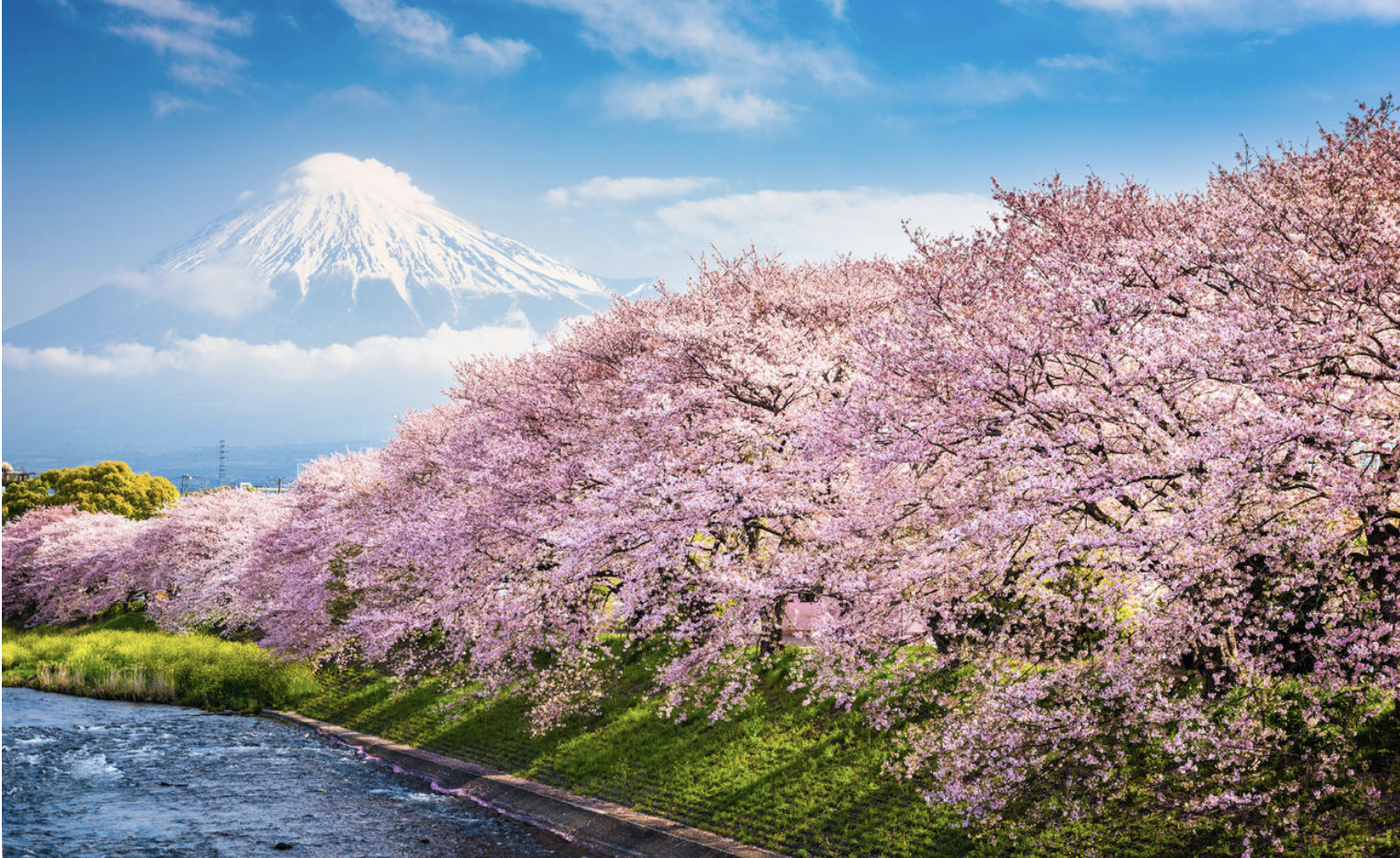 有没有看着很治愈很温暖的电脑壁纸?