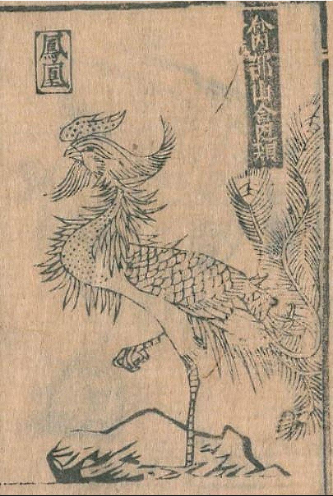 凤凰和三足金乌有可比性吗？ - 知乎