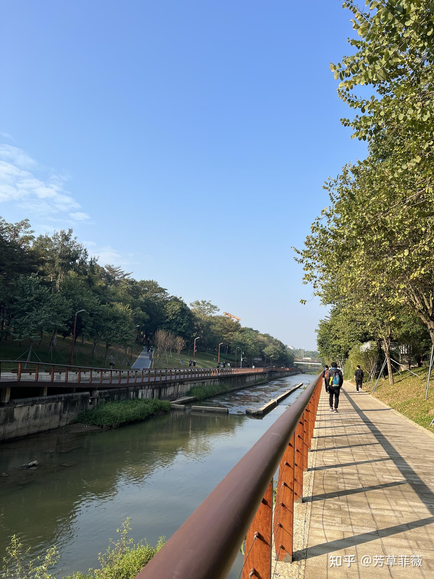 2025周末深圳好去处,深圳绿道徒步(持续更新中~) - 知乎