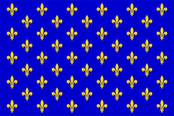 法国国旗上的花图片