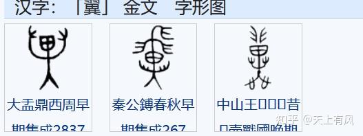 甲骨文中「飛」字和「鳥」,「隹」字的造字原型是否有關? - 知乎