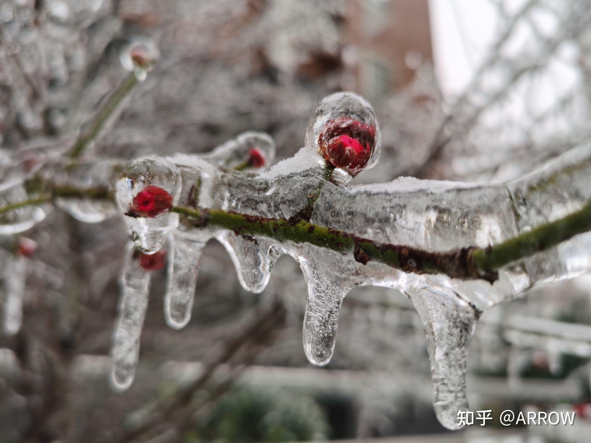 四省下冻雨,为什么就湖北堵成这个样子了? - 知乎