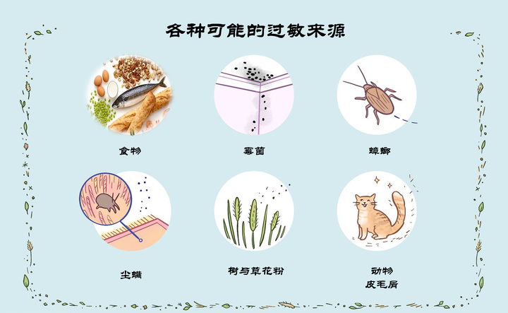 过敏原是什么? - 知乎