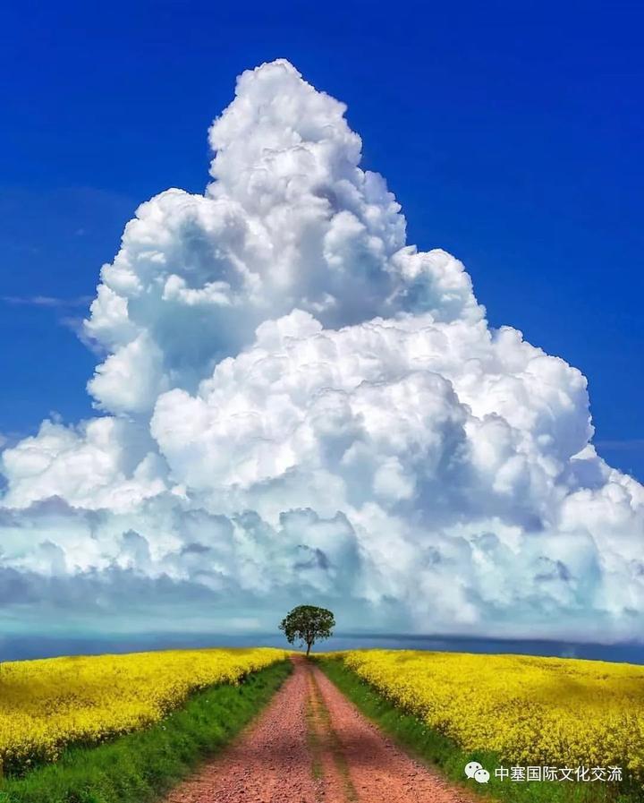 在塞尔维亚，国家地理摄影师都去哪儿拍照？ - 知乎