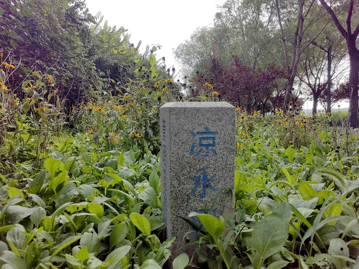 北京水系之凉水河旧宫至惠凉闸段 - 知乎