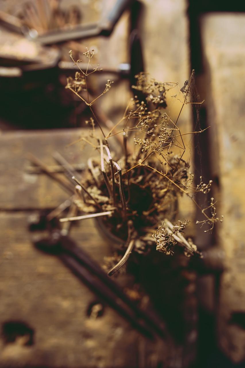 如何让鲜花不枯萎