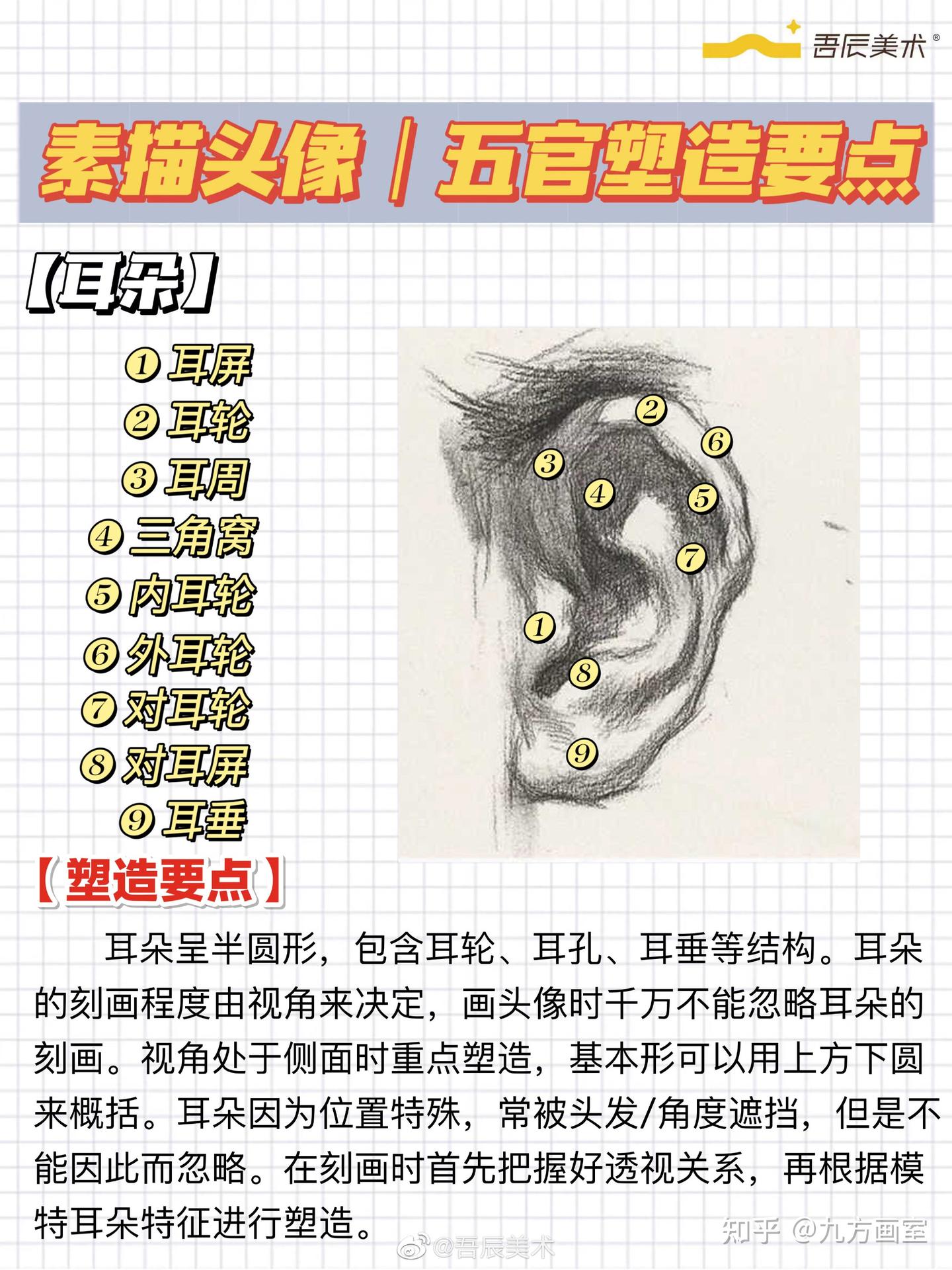 五张图让你快速理解五官｜五官结构干货 - 知乎