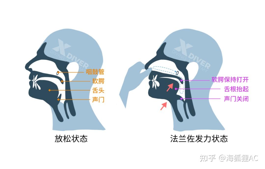 法蘭佐怎麼練