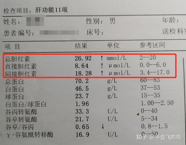 胆红素三项都高图片