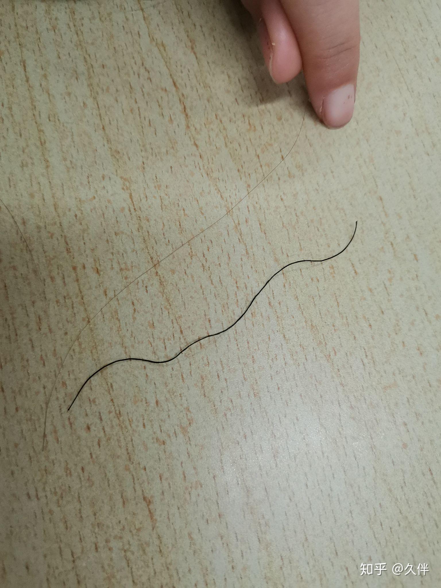 头发粗硬是一种什么样的感觉