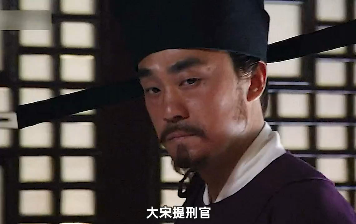 如何评价电视剧《大宋提刑官》?