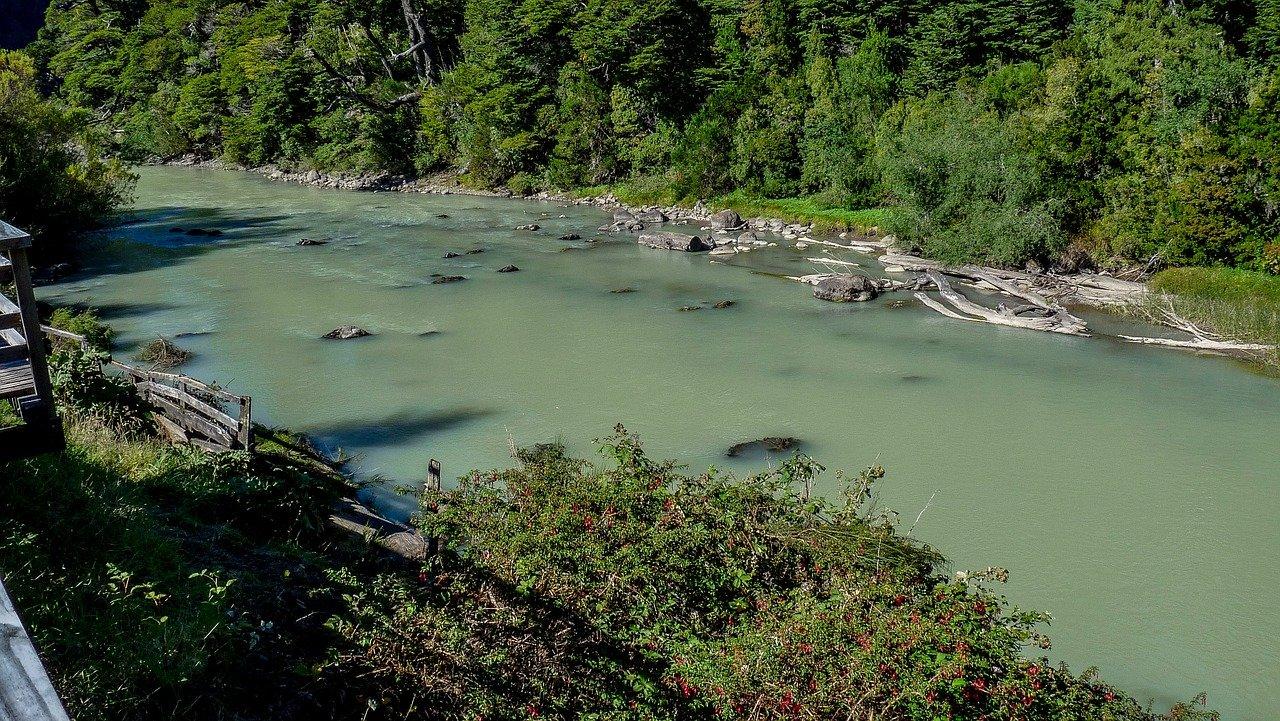 5. 学校教学质量