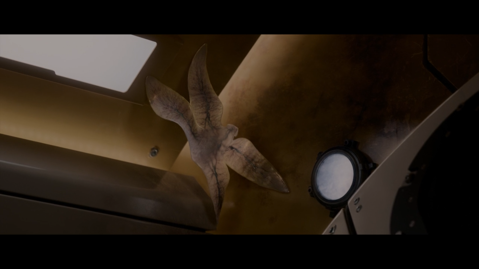 《异星觉醒》卡尔文这样的生物是可能存在的吗? - 知乎