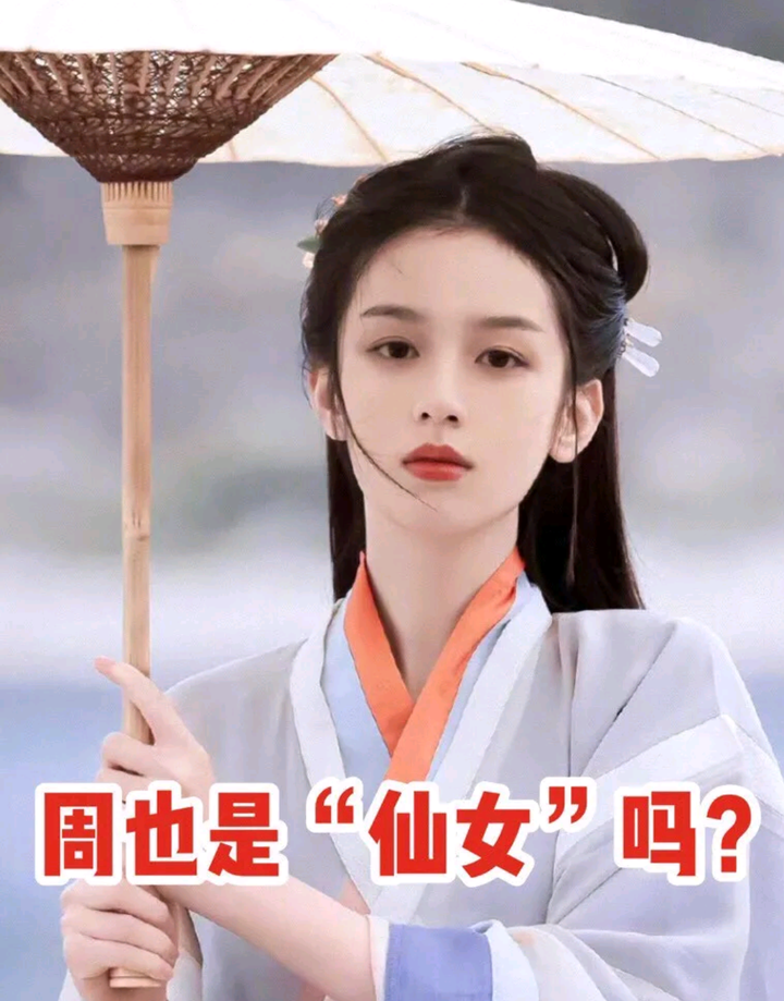 张晶解读：周也是哪家的“小仙女”! - 知乎