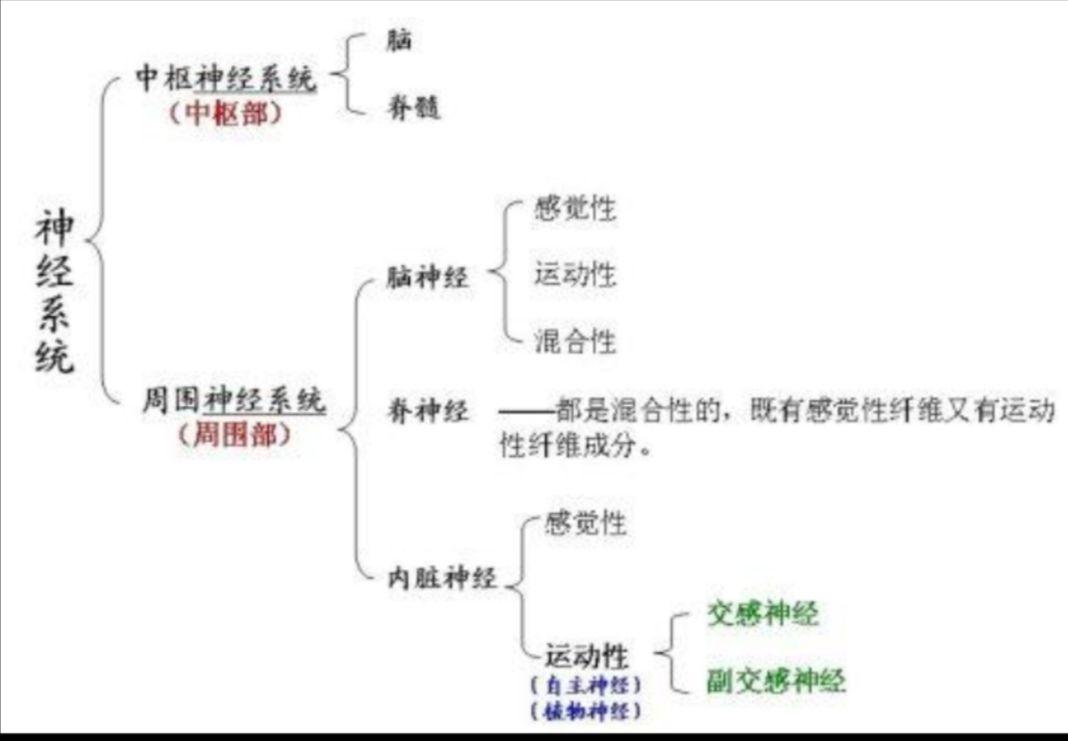 官能症、植物神经紊乱、躯体化的区别是什么？ - 知乎