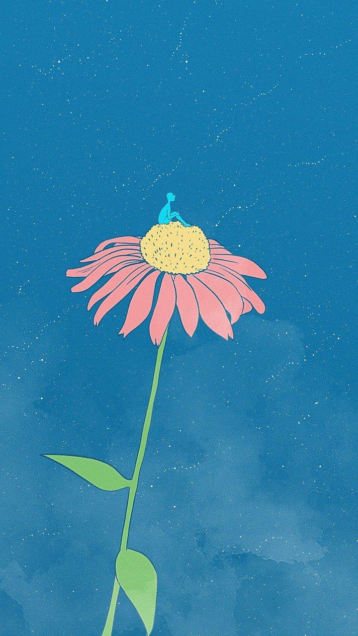 月光下的海风吟