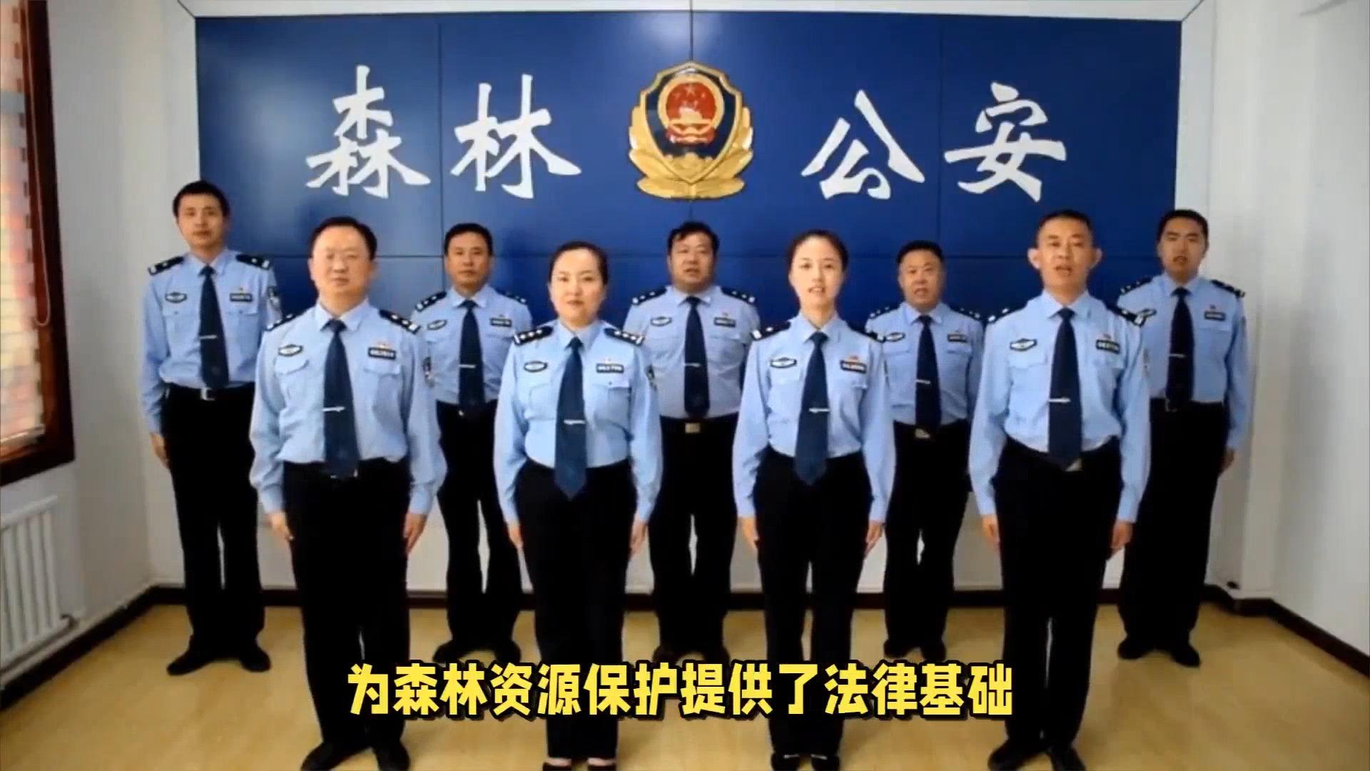森林公安是一群什么样的人
