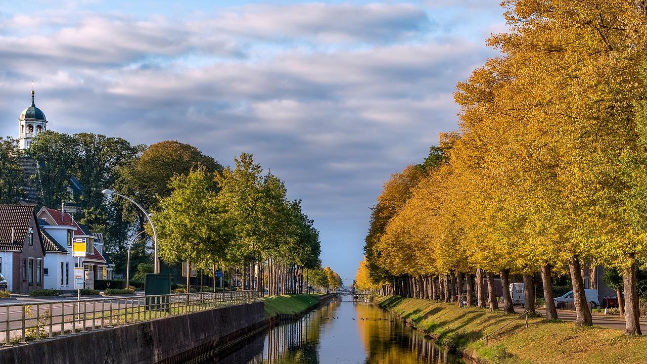 榕树下的童年回忆