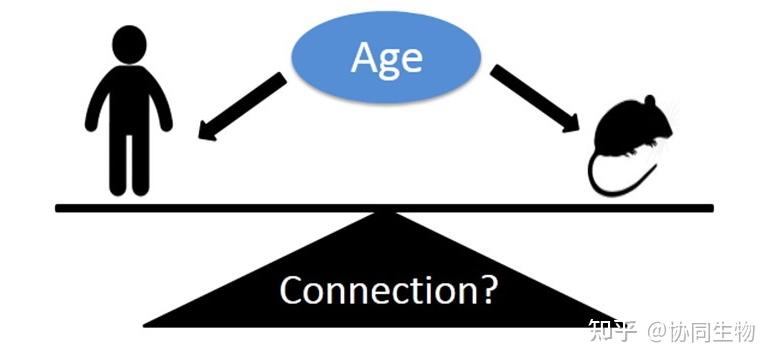 实验鼠该选多大合适?这里告诉你 - 知乎