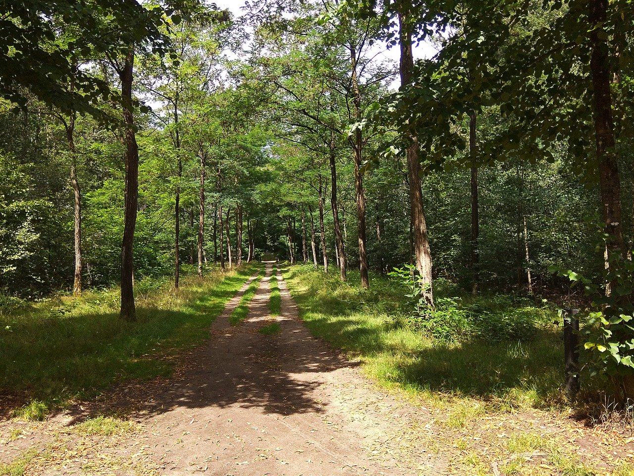 4. 室外气温影响