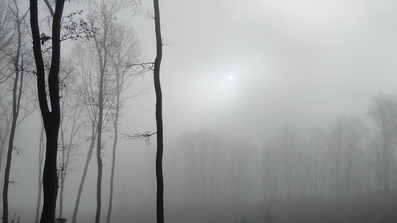 2. 清洁玻璃表面