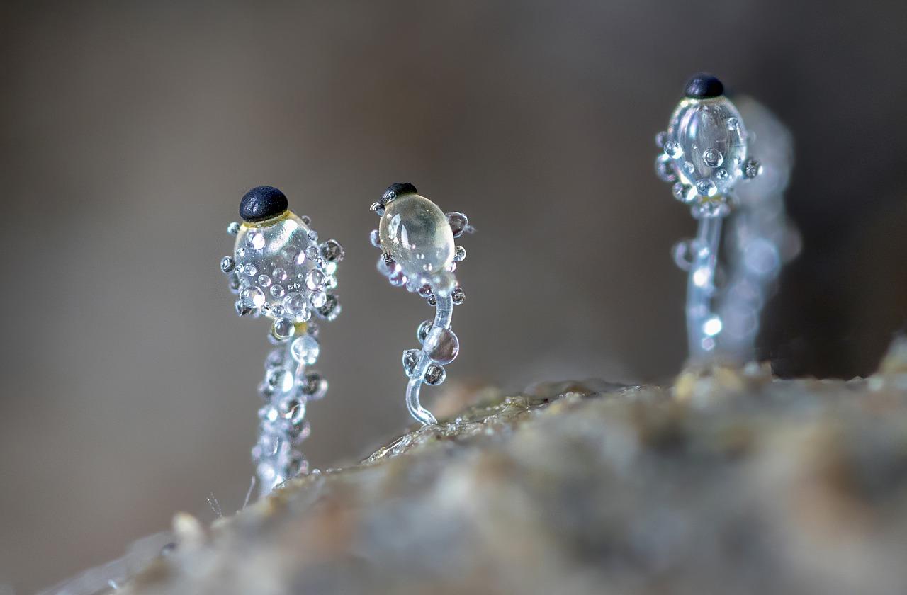 2. 水晶灯去污方法