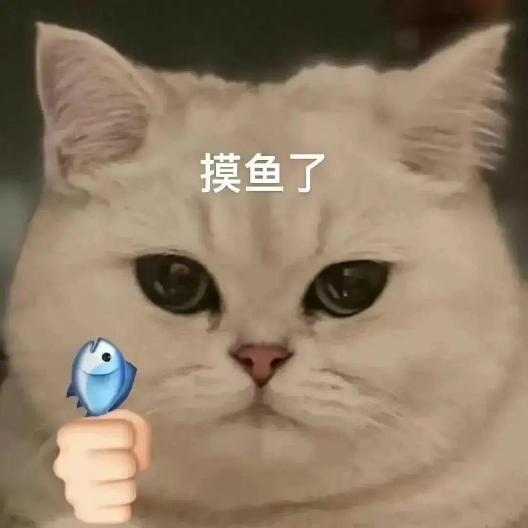 有没有好玩的摸鱼表情包? - 知乎