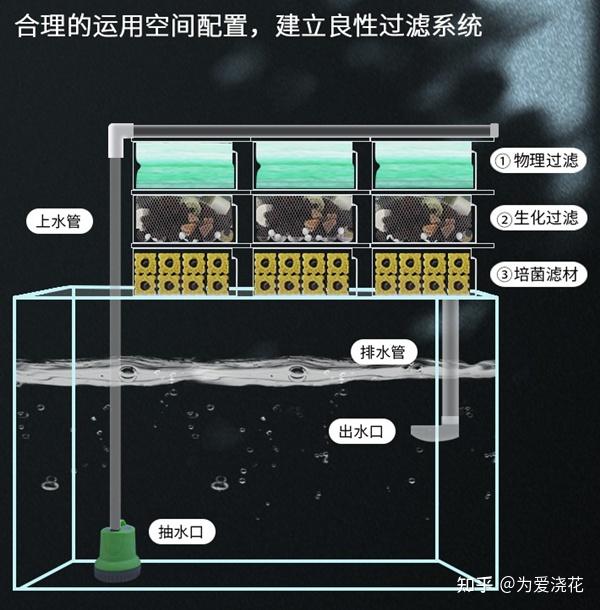 怎么自己动手制作生态鱼缸? - 知乎