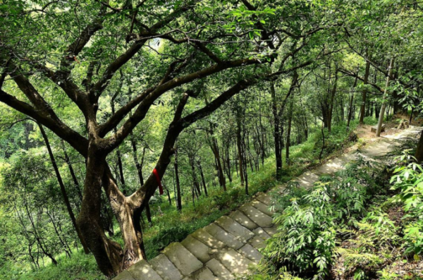 重庆有什么必去的景点?-重庆有什么好玩的景点推荐