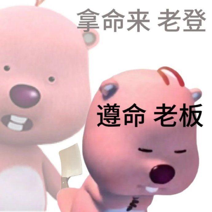 这个粉色的熊叫什么啊还有没有其他类型的表情包