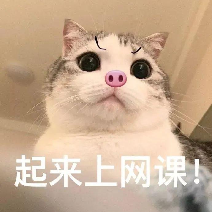 有哪些著名的立flag的梗